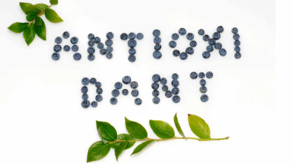 Antioxidantien – Wie sie Zellen schützen können