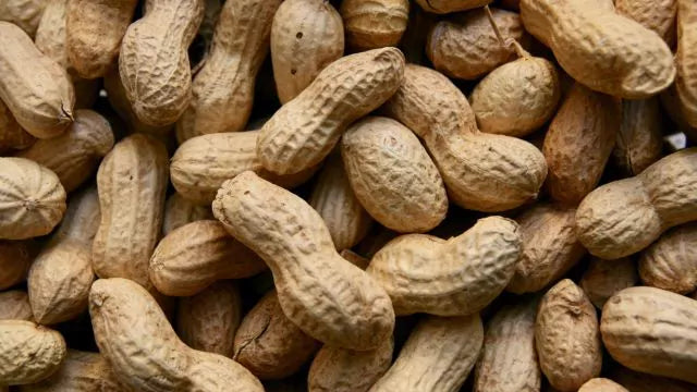 Nussallergie Test