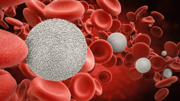 Entzündungshemmende Ernährung – Wie wir unseren Körper unterstützen können