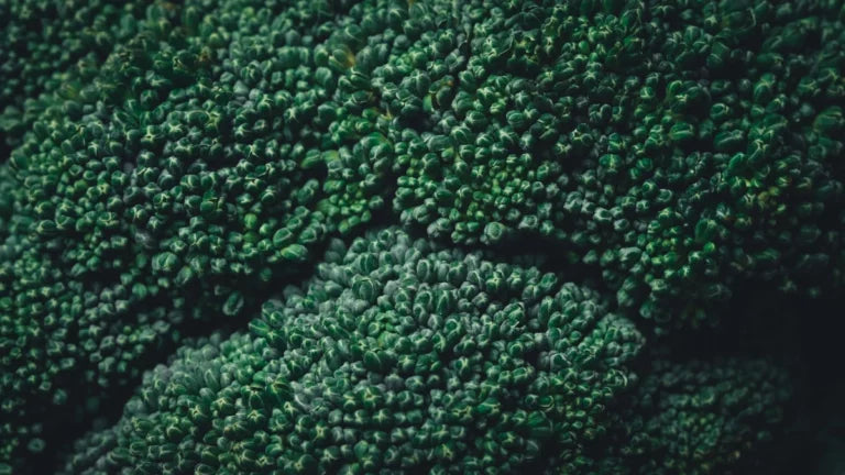 Brokkoli Unverträglichkeit: Wenn der geliebte grüne Superstar Probleme bereitet