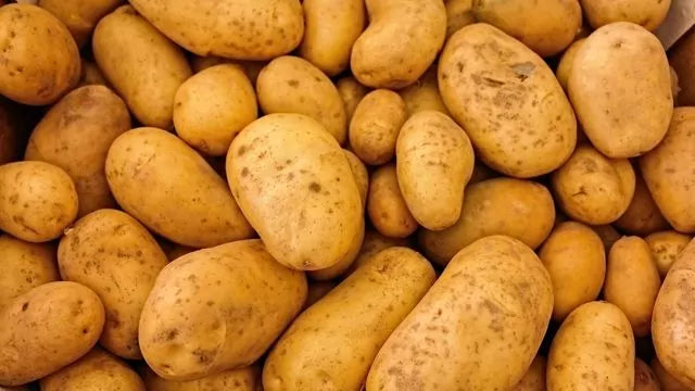 Kartoffel-Unverträglichkeit – Können Kartoffeln Bauchschmerzen verursachen?