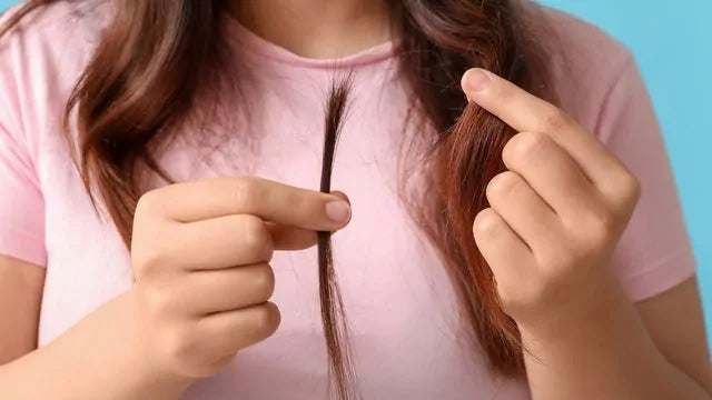 Unverträglichkeit mit einer Haarprobe feststellen