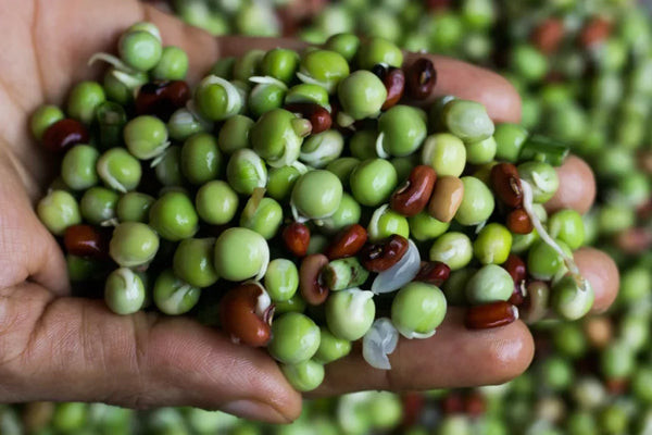 related_article.title