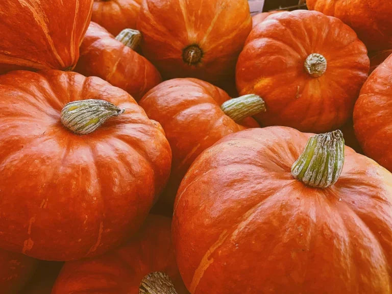 Kürbisgenuss ohne Magenbeschwerden – So meisterst Du eine Kürbis Unverträglichkeit