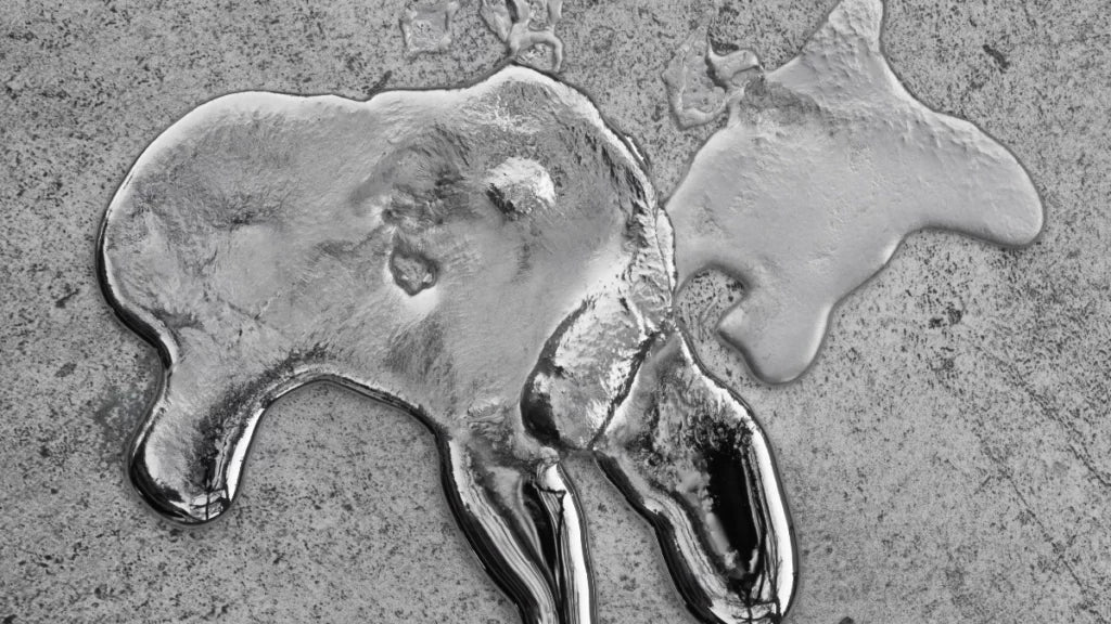 Auswirkungen von Schwermetallen in Lebensmitteln auf die Langzeitgesundheit