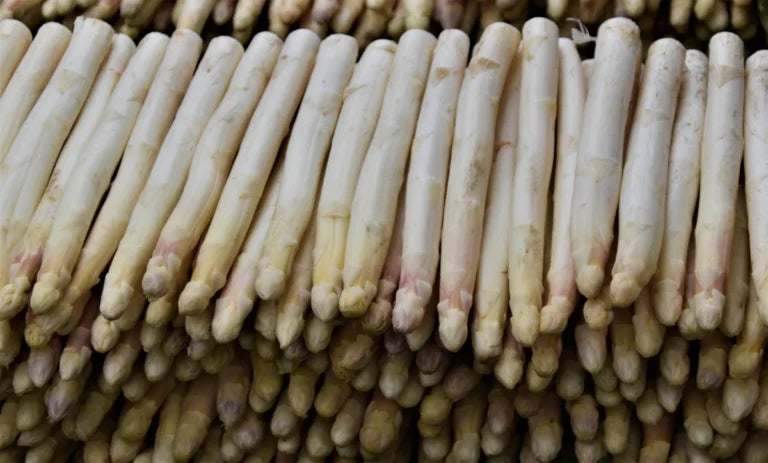 Spargel Unverträglichkeit – so gehst Du damit um