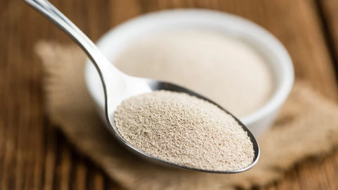 Tyramin: biogene Amine, Wechselwirkungen und tyraminarme Ernährung