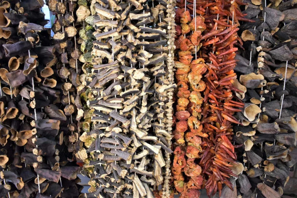 related_article.title