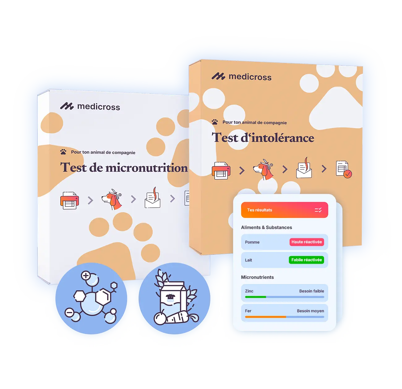 Test combiné (Animaux)