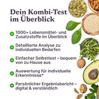 Kombi-Test