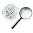 Mikroplastiktest